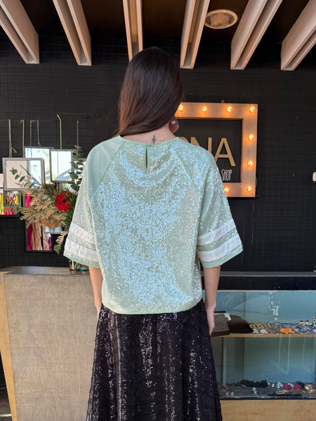 Blusa lentejuela american tshirt